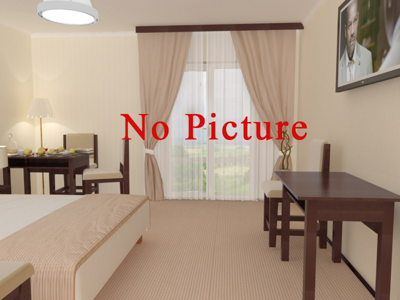 Номер стандарт с 3 односпальными кроватями (с завтраком) в Гостинице Киевская